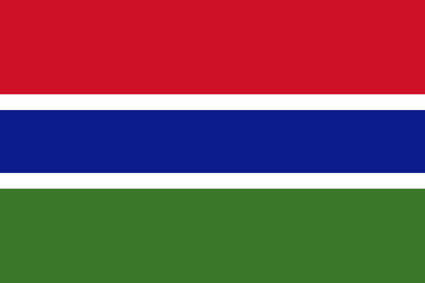 冈比亚- 电子货物跟踪单(Gambia-CTN / ACD / ENS)