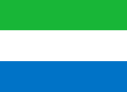 塞拉利昂-电子货物追踪单 Sierra Leone-Entry Summary Number/Cargo tracking note(ENS/CTN)