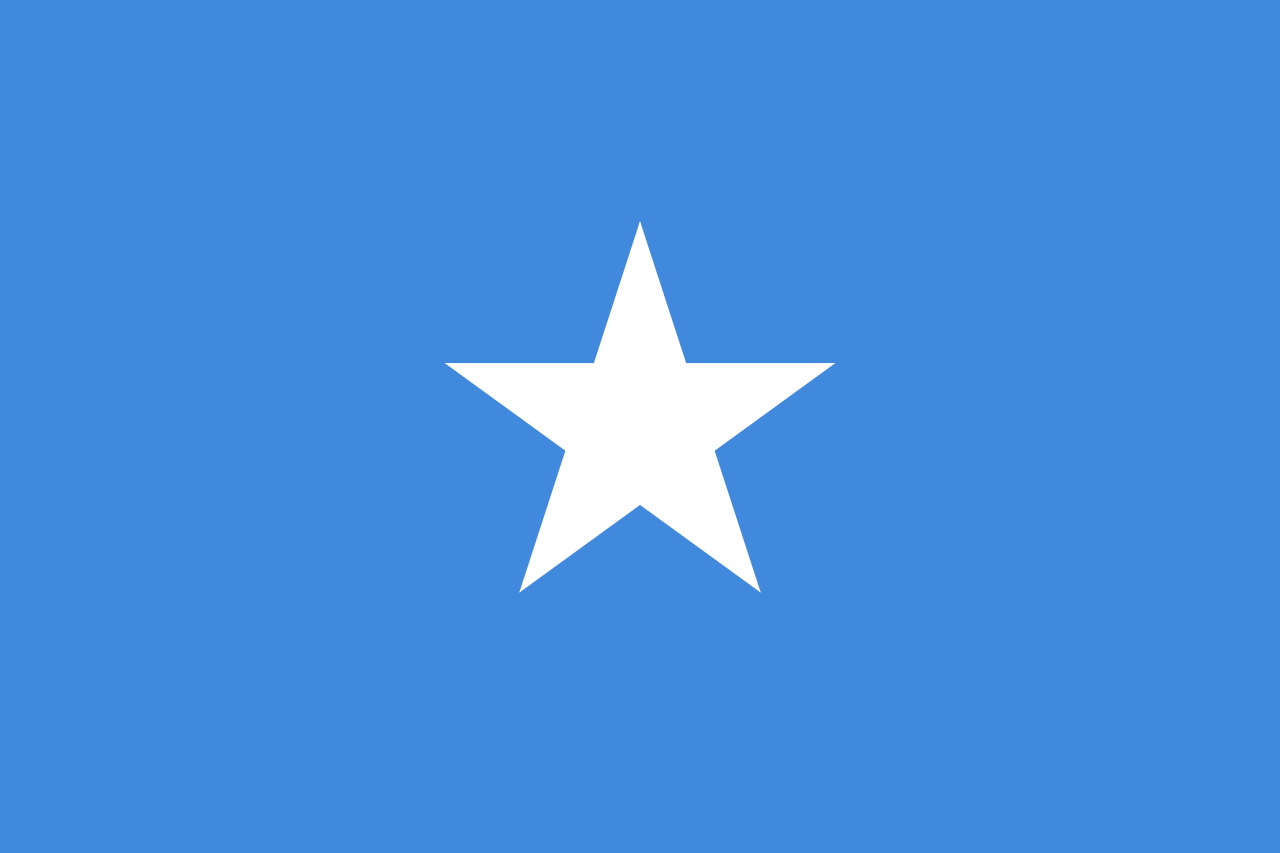 索马里 - 电子货物跟踪单(Somalia - CTN/ECTN)