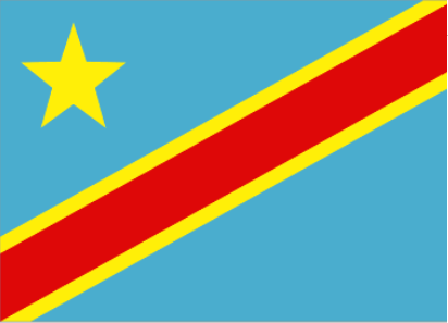 刚果金 - 电子货物跟踪单(DR.Congo - FERI)