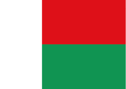 马达加斯加 - 电子货物跟踪单(The Republic of Madagascar - BSC)